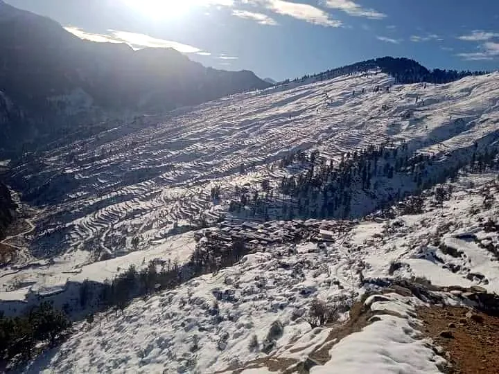 Snow-dusted terraced Himalayan village with pine trees lit by winter sunlight, Uttarakhand